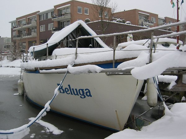 1-winter.JPG - Winter in Wassenaar